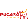Pucara Resources Inc.