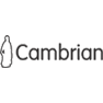 Cambrian Mining plc