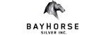 Bayhorse Silver Inc.